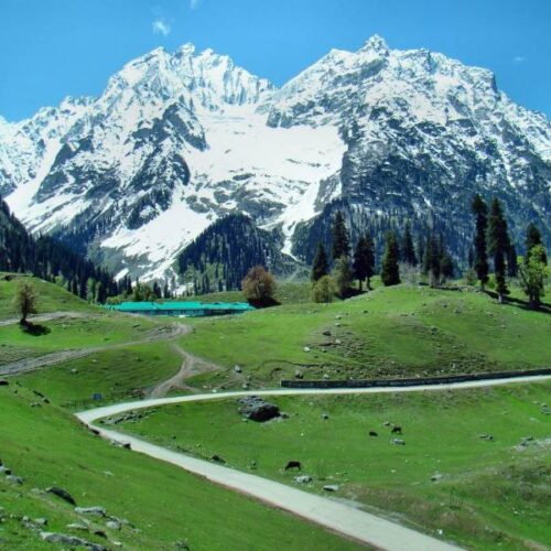 Srinagar Gulmarg Pahalgam Tour Package 5 Days for 6 PAX.