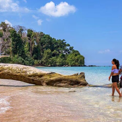 Andaman & Nicobar island Couple Package for