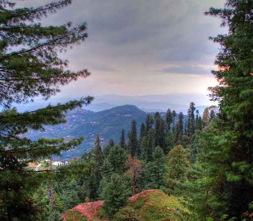Srinagar Gulmarg Sonmarg Day Trip Tour Package 5 Days for 2 PAX.