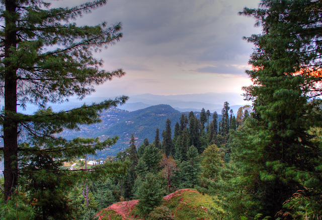 Srinagar Gulmarg Sonmarg Day Trip Tour Package 5 Days for 2 PAX.